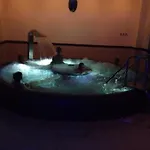 شقة Patio Mare سوبوت