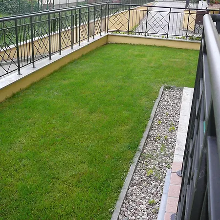 Patio Mare