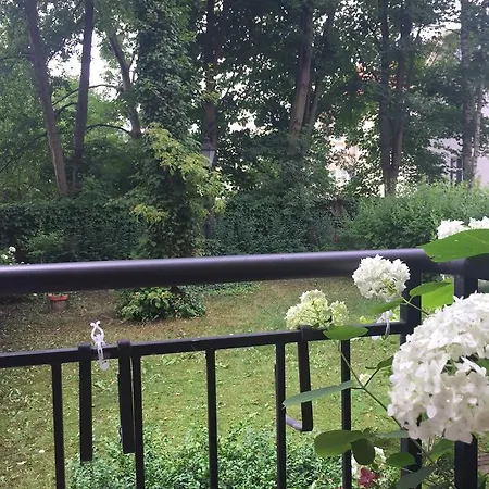 Patio Mare