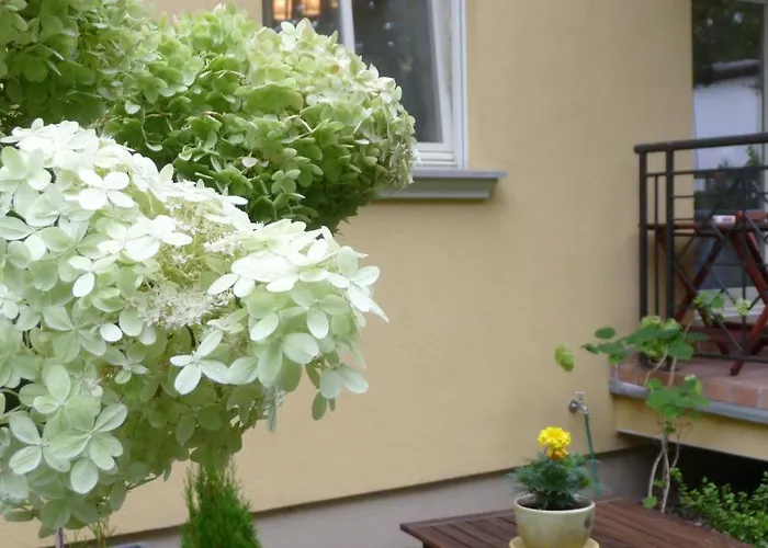 דירה Patio Mare *